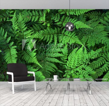 Picture of Green fern